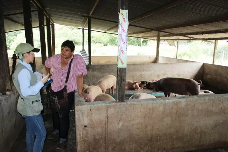 Por el uso sin permisos de hornos incineradores de residuos animales y porquerizas, fueron sellados en el corregimiento El Morichal de Yopal.